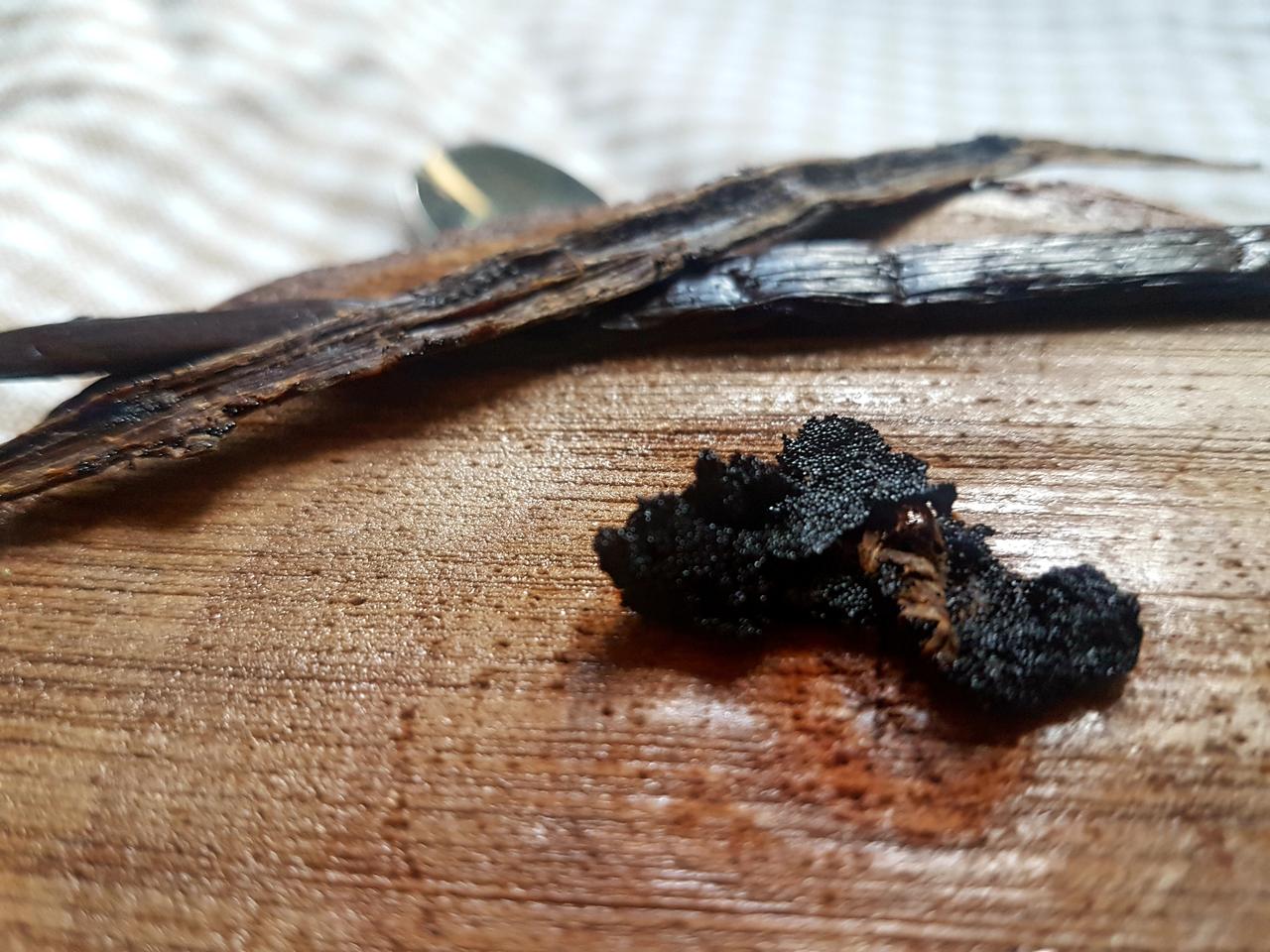 ziarenka i laski wanilii